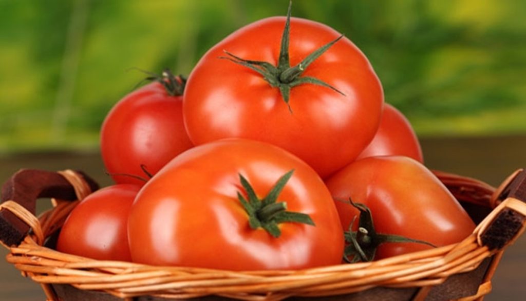 تعرف عليها ... فوائد البندورة لجسم الإنسان