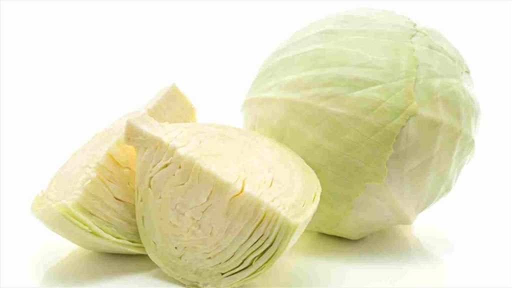 فوائد الملفوف لجسم الإنسان: رحلة نحو صحة أفضل