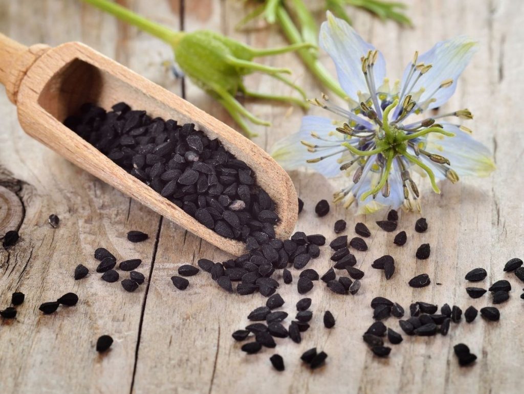 كل ما تعود معرفته عن فوائد حبة السوداء (حبة البركة)