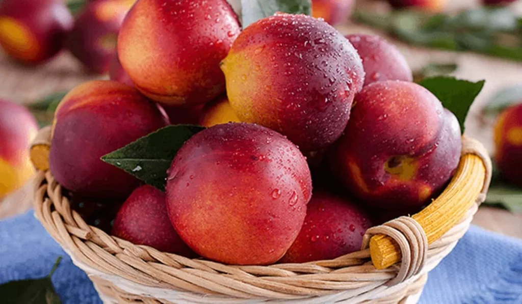 فوائد الخوخ الصحية: جواهرٌ ذهبيةٌ تُنثرُ على جسدك