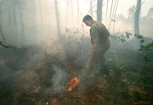عاجل .. روسيا تعلن الطوارئ في منطقتين بسبب حرائق غابات