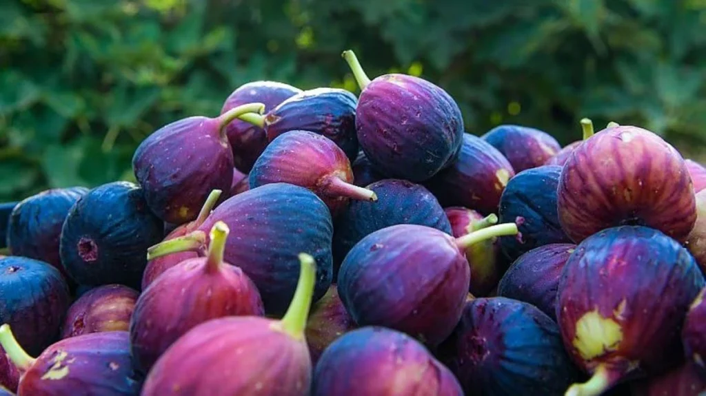 تعرف عليها .. فوائد التين لجسم الإنسان