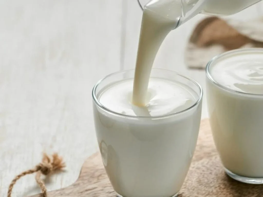 فوائد اللبن لجسم الإنسان: مشروب غني بالعناصر الغذائية