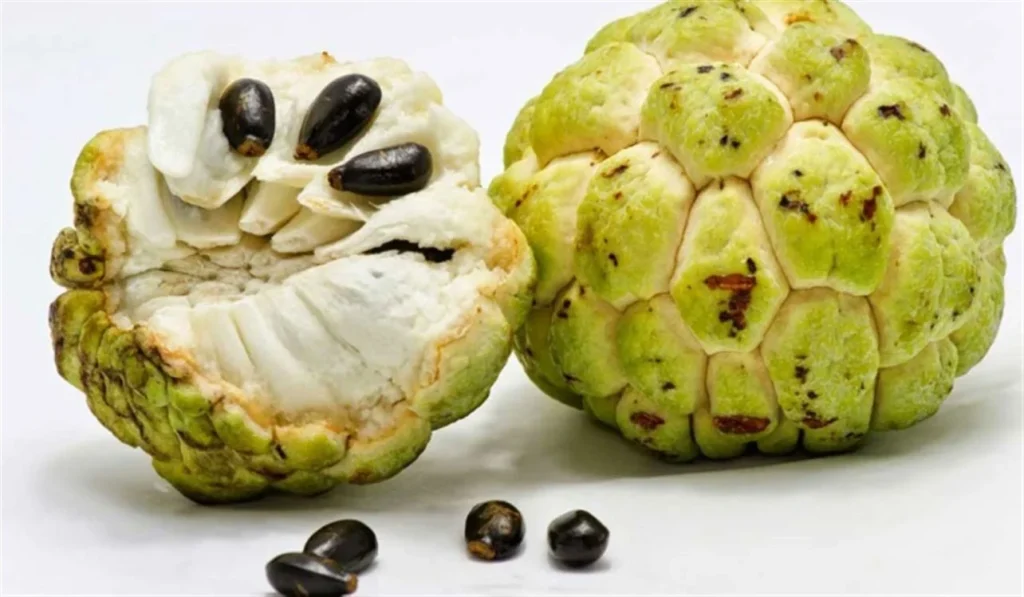 فوائد فاكهة القشطة: كنوز صحية في ثمرة واحدة