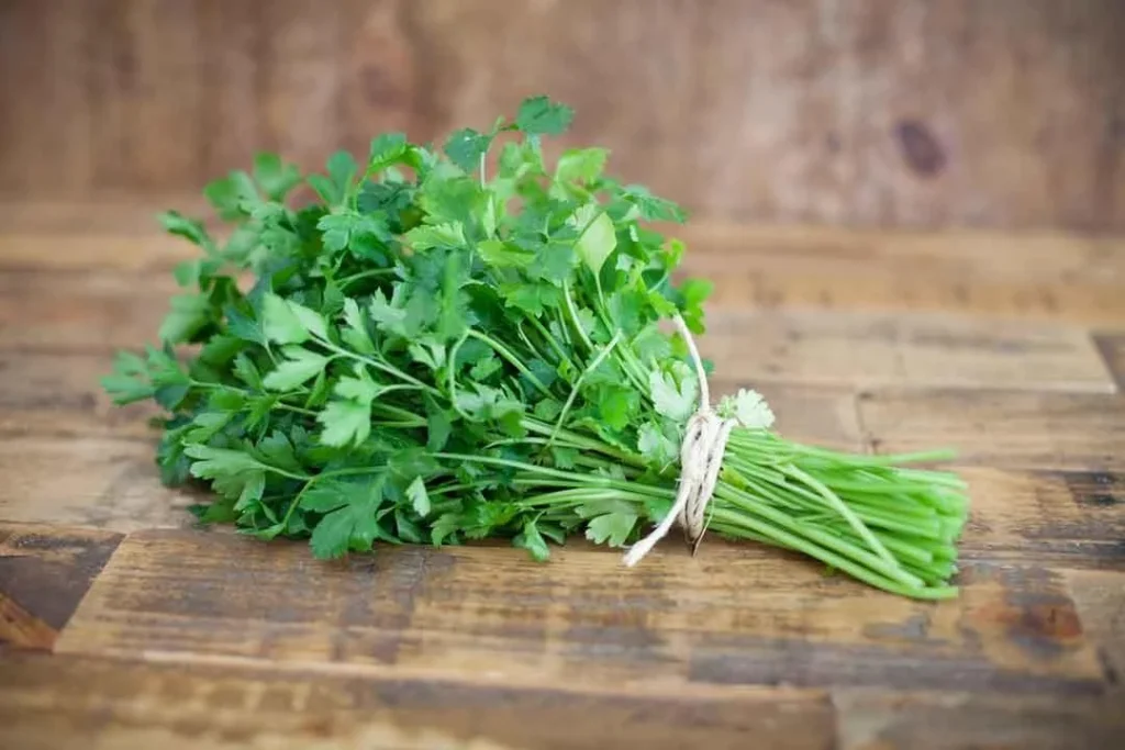 أضرار البقدونس: الجانب الآخر من العشبة المفيدة