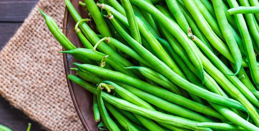 فوائد الفاصولياء: كنوز غذائية في حبة صغيرة