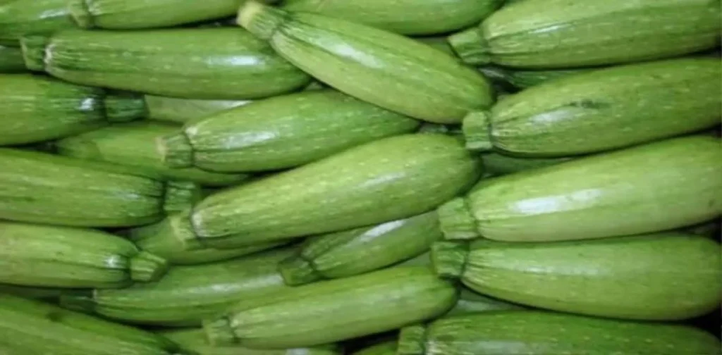 فوائد الكوسا: كنوز غذائية في قشرة خضراء