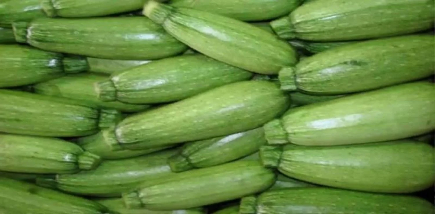 أضرار الكوسا: هل هناك ما يخفيه هذا الخضار الصحي؟