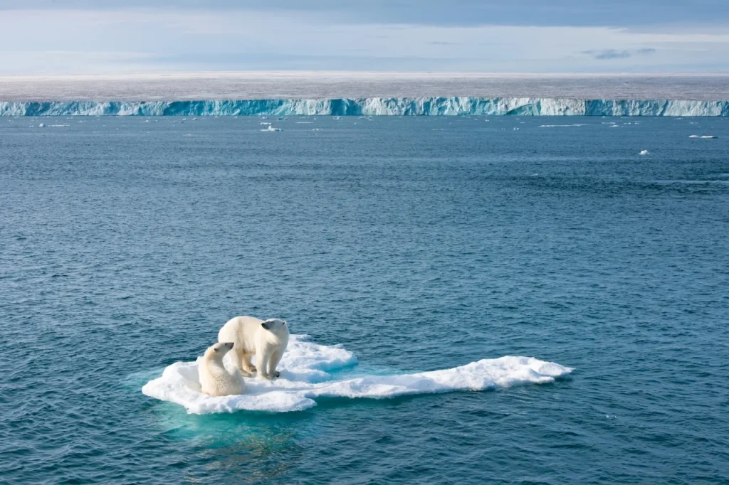 فلوريان شولز: مصور الطبيعة الذي يحرك الحركات البيئية