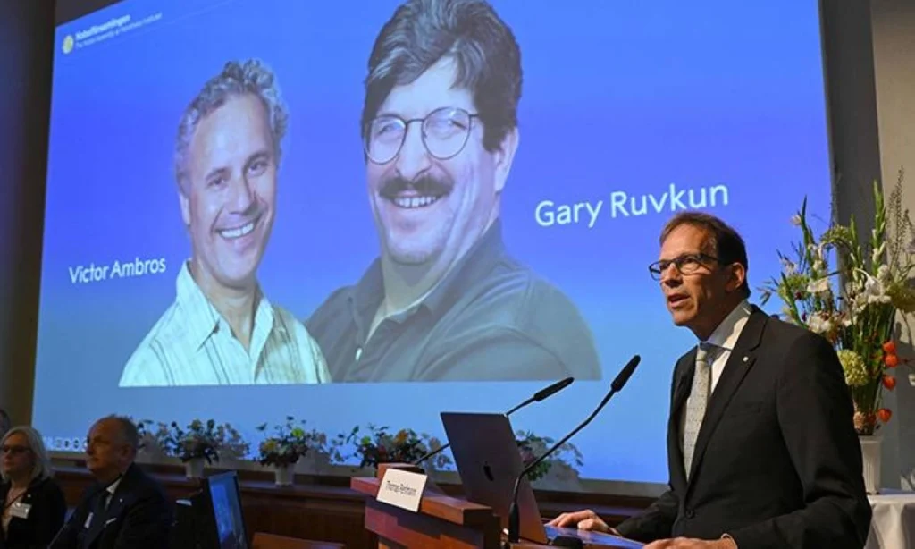 جائزة نوبل للطب 2024: اكتشاف مذهل لآلية جديدة لتنظيم الجينات