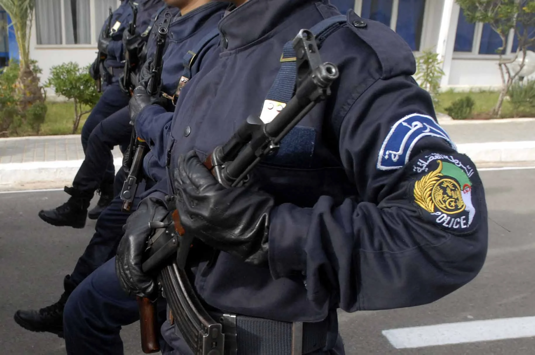 الجزائر تواجه تحديات جديدة: تفشي تجارة المخدرات وتهديد الأمن الوطني