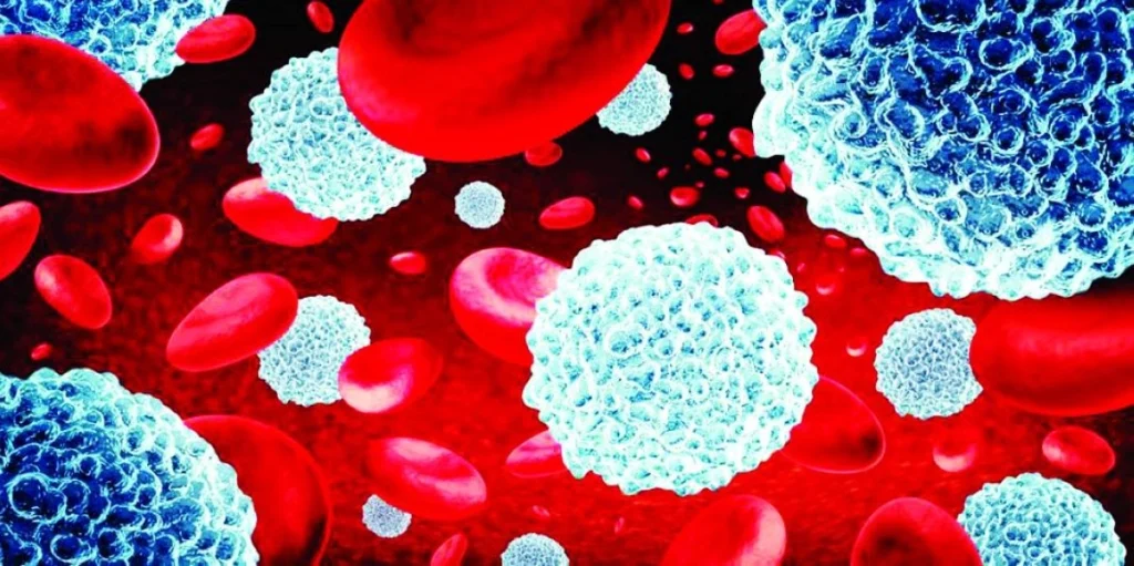 اكتشاف علمي جديد: خلايا جذعية صغيرة تحافظ على شباب جهاز المناعة