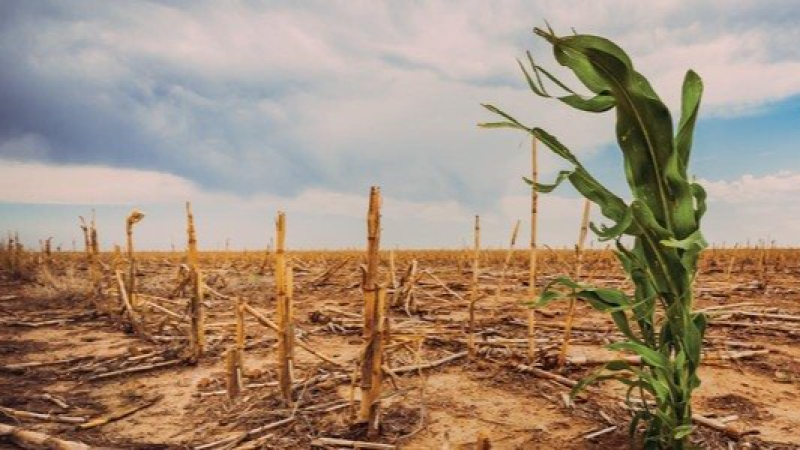 التغير المناخي