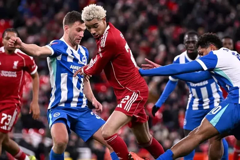 بغياب صلاح.. برايتون يهزم ليفربول بثنائية من ويلبيك في الدوري الإنجليزي 